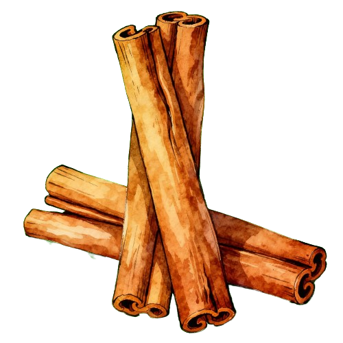 Cinnamon (Cinnamomum cassia) - TCM herb